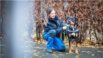 Der vierjährige Rottweiler-Mischling Pia wurde ausgesetzt, die Besitzer meldeten ihn als verstorben. Pia landete im Tierheim. Manche Tiere dort haben eine besonders traurige Geschichte.