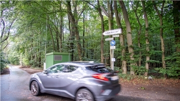 Der Wald, der verkauft werden soll, ist derzeit in vollem Grün im Hintergrund zu sehen.