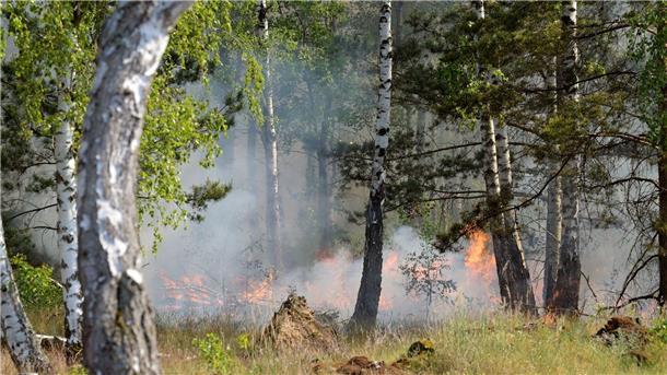 Der Waldbrand in dem ehemaligen Truppenübungsgebiet bei Jüterbog ist immer noch nicht gelöscht.