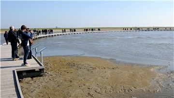 Der Wanderweg durch den Langwarder Groden in Butjadingen ist nominiert als "Deutschlands schönster Wanderweg".