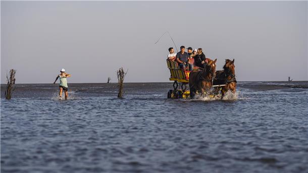Wattlauf im Watt vor Cuxhaven