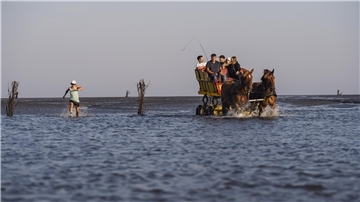 Wattlauf im Watt vor Cuxhaven