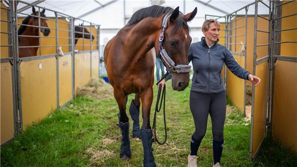 Klappe auf bei den Elmloher Reitertagen: Unterwegs mit Pflegerin Christina Müller Balkenhol