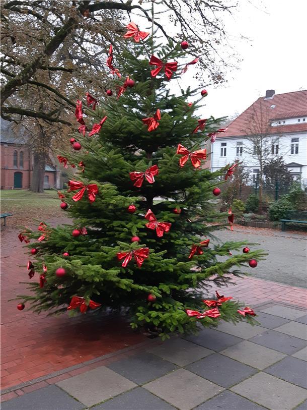 Der Weihnachtsbaum in Hagen.