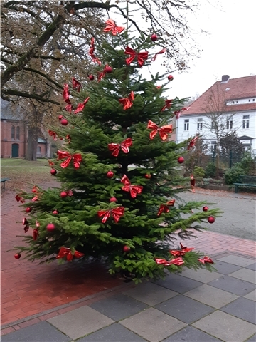 Der Weihnachtsbaum in Hagen.