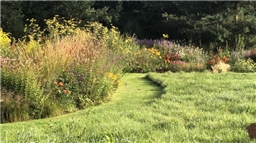 Der weitläufige „Garten am Mühlenbach“ von Ulrike Aping und Klaus Decker in Breddorf kann am Sonntag von 11 bis 18 Uhr besichtigt werden.