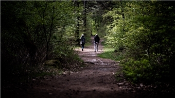 Der Wernerwald im Cuxhavener Ortsteil Sahlenburg gehört zu den vergleichsweise wenigen Wäldern im Cuxland. Gerade einmal gut acht Prozent der Landkreisfläche sind von Wald bedeckt.