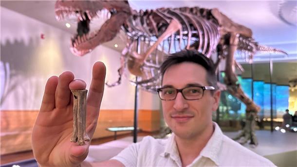 Über den Dinos kreisten womöglich schon Raubvögel Der Wissenschaftler Alex Clark zeigt den fossilen Fußknochen von Avisaurus darwini.