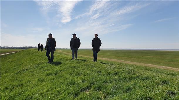 Der Wurster Seedeich zwischen Bremerhaven und Cuxhaven ist nahezu unbeschadet durch die Sturmflutsaison gekommen - das bescheinigte der Landkreis den Verantwortlichen bei der Frühjahrsdeichschau in dieser Woche.