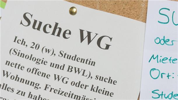 WG-Zimmer für Studierende deutlich teurer Der Zettel einer WG-Zimmer-Suchenden hängt an einem Schwarzen Brett.