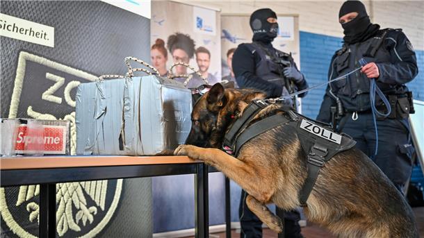 Zoll bündelt seine Kräfte und investiert Millionen in Bremerhaven Zollhund schnüffelt an Drogenpaketen