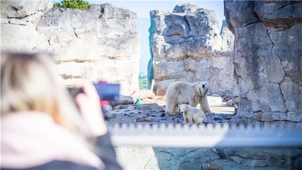 Der Zoo am Meer öffnet wieder seine Türen für die Besucher nach wochenlanger Schließung aufgrund der Corona-Pandemie.
