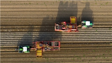 Derzeit ist offen, ob die Landwirtschaft bei der Umstellung auf alternative Antriebe auf staatliche Hilfe setzen kann.