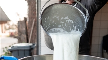 Deutsche Bauern produzieren zu viel Milch, sagen die Molkereien. Nein, es wird zu viel unter geringeren Standards produzierte Milch importiert, sagen die Landwirte.