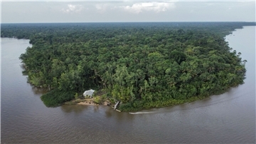 Deutschland will wieder Geld für für den Amazonas freigeben, nachdem Bolsonaro die Präsidentschaftswahl verloren hat.
