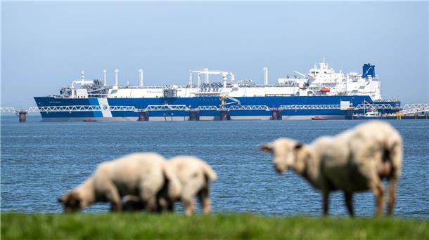 Die 277 Meter lange „Excelsior“ kommt ohne eine feste Landverbindung aus.