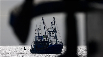 Die Agrarminister und -Ministerinnen haben sich gegen ein pauschales Verbot der Fischerei mit Grundschleppnetzen ausgesprochen.