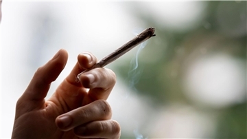 Die Ampel-Parteien wollen Cannabis zu Genusszwecken 2023 legalisieren.