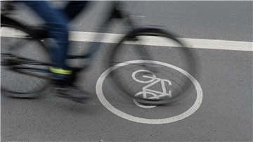 Ein Fahrradweg, auf dem ein Rad mit Person darauf im Vorbeifahren fotografiert wurde.