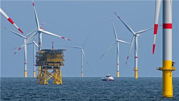 Die Anwendung richtet sich sowohl an die Schifffahrt als auch an Windparkbetreiber, Segler, die Marine aber auch die breite Öffentlichkeit.