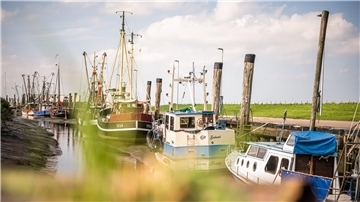 Die Arge Maritime Landschaft Unterelbe will auch Traditionshäfen – wie hier den Kutterhafen in Spieka-Neufeld – bewahren helfen.