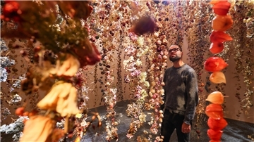 Die Ausstellung „Flowers Forever“ im Bucerius Kunst Form zeigt eindrucksvolle Werke und Installationen.