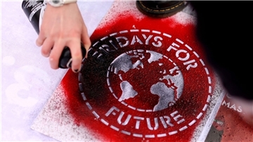 Die Bandbreite des Fragenkatalogs von Fridays for Futute reicht von Erkundigungen nach der Haltung der FDP zu zentralen klimapolitischen Konzepten bis zu Polemik.