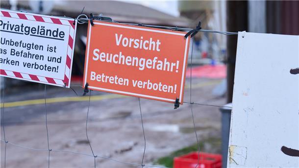 Die Bauern in der Region hoffen inständig, dass sich die Maul- und Klauenseche nicht weiter ausbreitet. Sie haben immer noch zu tun mit den Folgen der Blauzungenkrankheit bei Rindern, die fast jeden Betrieb in der Wesermarsch getroffen hat.