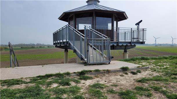 Die Beliebtheit des Vogelbeobachtungsturms im Deich bei Dorum-Neufeld zeigt deutliche Spuren - auch außerhalb der gepflasterten Deichkrone.