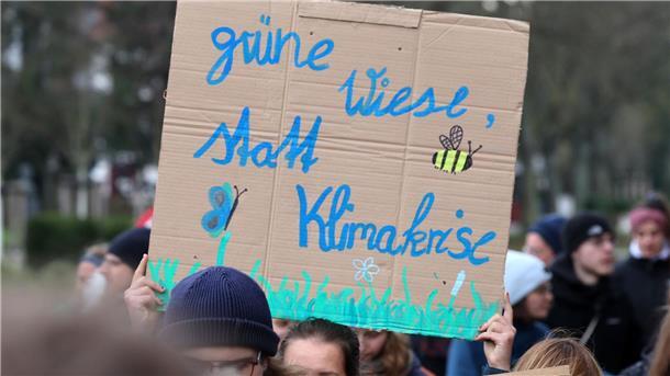 Klimaschutz hat Konkurrenz als Thema Die Bewegung Fridays For Future hat viele Leute für ihre Proteste gewonnen.
