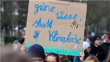 Die Bewegung Fridays For Future hat viele Leute für ihre Proteste gewonnen.