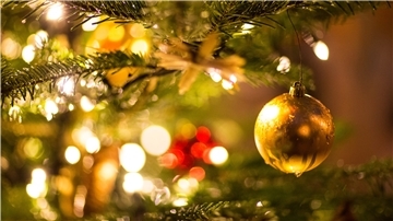 Die Bilder vom schön geschmückten Weihnachtsbaum kann es dieses Jahr auch per Videokonferenz geben.