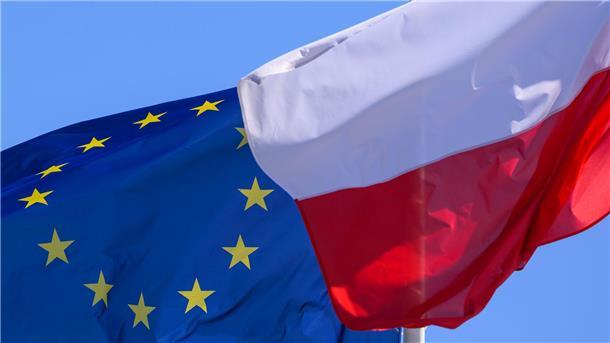 Nachbarland startet Kontrollen an der Grenze Die blaue Flagge steht für Europa, die weiß-rote für unser Nachbarland Polen.