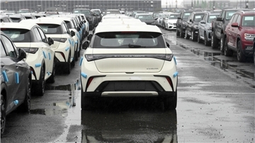 Autos parken auf dem Terminal. 