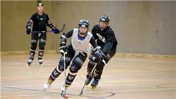 Die Bremerhaven Whales können, wenn es gut läuft, am Wochenende die Meisterschaft in der Regionalliga klarmachen.