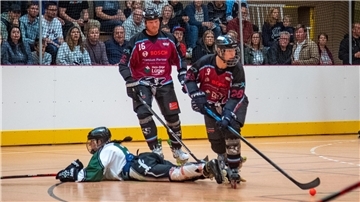 Die Bremerhaven Whales sind Meister in der Inline-Skaterhockey-Regionalliga.