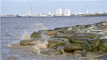 Die Bremerhavener SPD will das Aus für den Offshore-Terminal (OTB) nicht hinnehmen. Sie fordert den Senat auf, sich gegen das Urteil des Oberverwaltungsgerichts zu wehren. Foto: Scheschonka