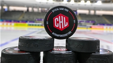 Die Champions League im Eishockey wurde 2014 gegründet.