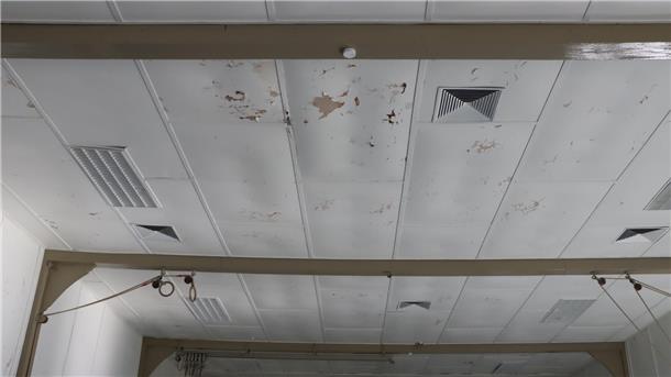 Heeslinger Sporthalle, Decke