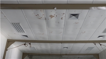 Heeslinger Sporthalle, Decke
