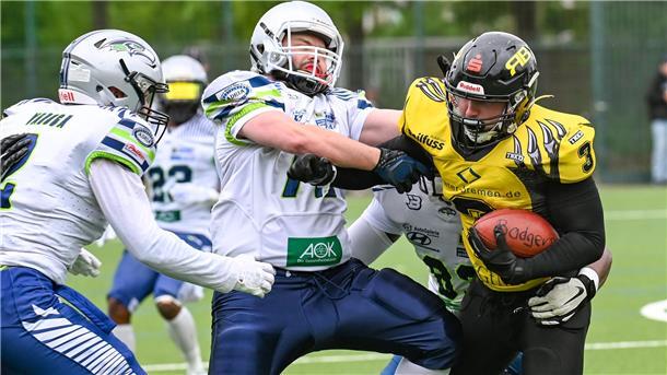 Die Defense der Bremerhaven Seahawks (weiße Trikots) ließ wieder wenig zu. 