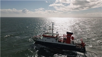Schiff, Meer