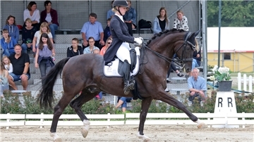 Die Dressurreiterin Elisa Prigge mit ihrem Erfolgspferd Dark Dancer im Dressurparcours auf dem Dobrock. Wer den Grand Prix Special gewinnen will, muss diese beiden schlagen.