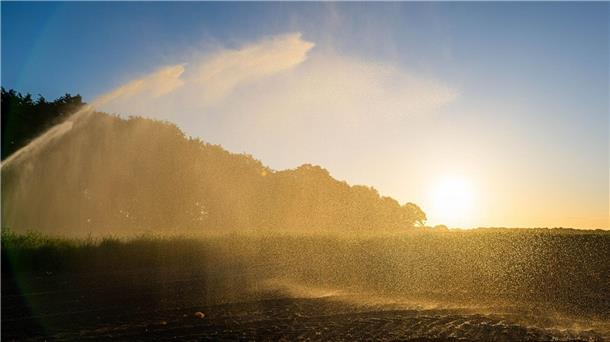 Die Dürre in Niedersachsen hält an, es ist kein langanhaltender Regen in Sicht. (Symbolfoto)