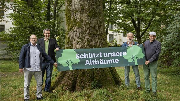 ehemalige Stadträte demonstrieren für Bäume in der Bogenstraße