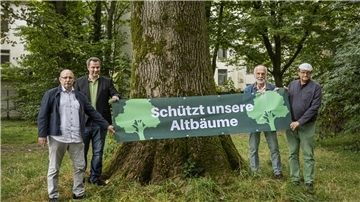 ehemalige Stadträte demonstrieren für Bäume in der Bogenstraße
