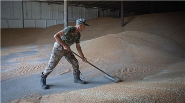 Die Einfuhr von Weizen aus der Ukraine bleibt zunächst zollfrei.