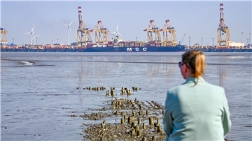 Sonja Riegert sitzt im Vordergrund des Bildes und blickt von Langlütjen I auf den Bremerhavener Hafen. Die Erlebnis Bremerhaven hat jetzt auf dem Fort Langlütjen 1 eine Webcam installiert. 