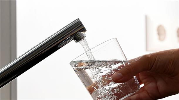 Die Erreger werden häufig durch zerstäubtes Wasser übertragen, etwa über Wasserhähne.