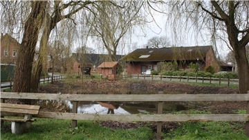 Der Dorfteich in Kassebruch